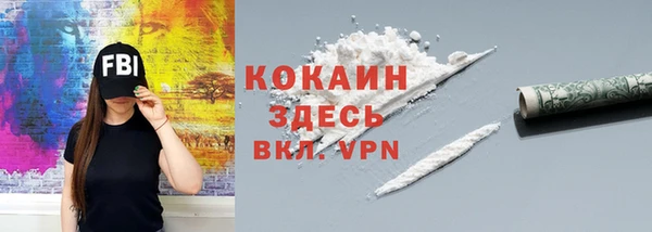 PSILOCYBIN Белокуриха