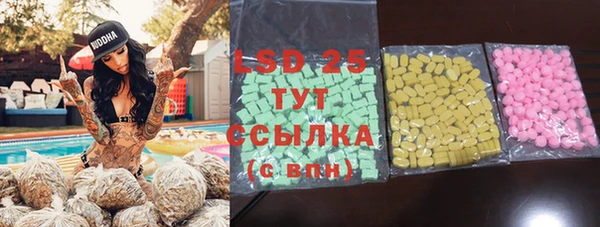 PSILOCYBIN Белокуриха