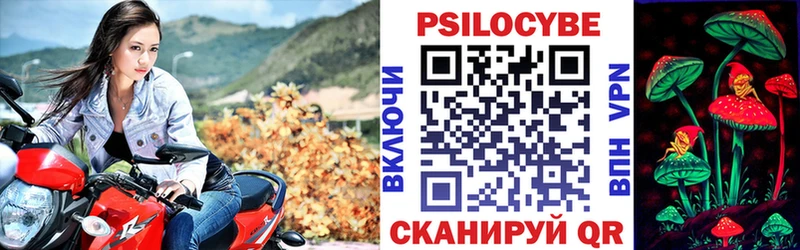 Галлюциногенные грибы MAGIC MUSHROOMS  хочу   Могоча 